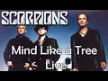 Lagu SCORPIONS - Mind Like a Tree (live)
