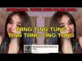 Download Lagu TANG TING TUNG LAGU VIRAL TIKTOK 2024!
