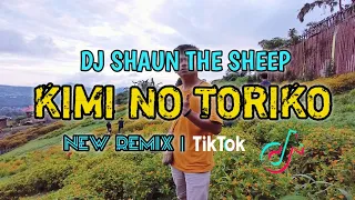 Download DJ SHAUN THE SHEEP - KIMI NO TORIKO | TIK TOK!!! ( DIJEE ROY) MP3