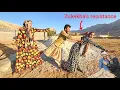 Download Lagu Zuleikha's koppige verzet tegen Leila's dreigementen #denarosta