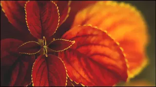 اجمل اهات صوتية بحث عنها الكثير 7 