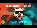 Peak Focus Productivity Booster - Tech House Pitbull Mix
