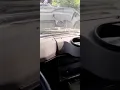 diagnostico camion INTERNATIONAL sensor CMP mal estado
