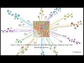 Agent Escape from Local Optimal - DQS Efficient Quality-Diversity Optimization