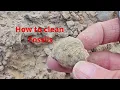How to clean fossils