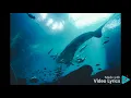 OCEAN DEEP JURIS