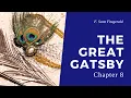 Great Gatsby - Chapter 8 book