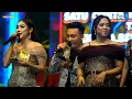 Download Lagu New Pallapa 2024 live manunggal ful album