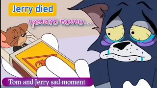 sad moment tom and jerry jerry died tom feels sad to loss the friend mheditz2 066
