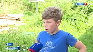 В Омске волонтёры спасли бродячего пса после избиения живодерами
