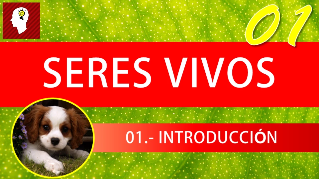 Los Seres Vivos 01: Crecimiento