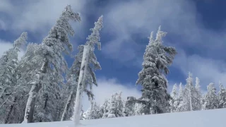Mt Rose Summit Jan 13 Nevada the U S