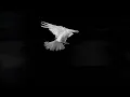 Pusha T - I Pray For You ft. Labrinth & MALICE (Visualizer)