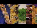 Sakeba Asian Pub Grill Japanese Food Sushi Drinks Bar in Kissimmee Florida February 18 2024