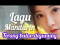 Download Lagu TERANG BULAN DI GUNUNG _ lagu Mandarin nostalgia #cover