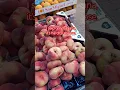 Download Lagu Fruits and more fruits 😅😅