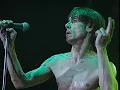 Iggy Pop - The Passenger (Live in Paris)