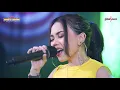 Syahiba Saufa ft New Pallapa - Tau Tatu (Official Live Music)