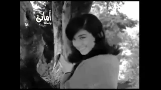محرم فؤاد زي نور الشمس دندنها