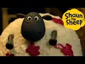 Download Lagu Shaun the Sheep 🐑 Paint Problem - Cartoons for Kids 🐑 Full Episodes Compilation [1 hour]