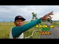 Lagu Kehidupan dan Gaya Hedon Manusia hias Wanita di Jalur Bojonegoro Blora di kelengahan mata umum.