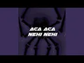 Lagu Aca Aca Nehi Nehi