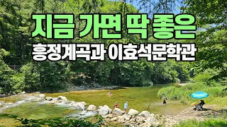 계곡계의 금수저 청정계곡: 봉평 흥정계곡과 메밀꽃필무렵 썸네일