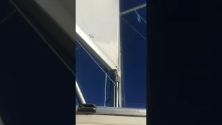 Main Sail looking sweet. Sailing the Bahamas. #shorts #youtubeshorts #short