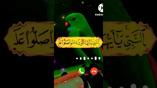 ستوريات انستا يوم الجمعه القارئ أسلام صبحي حالات واتس اب يوم الجمعه 