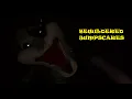Bewildered Jumpscares
