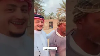                              دندنها