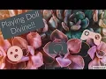 Playing Doll divine