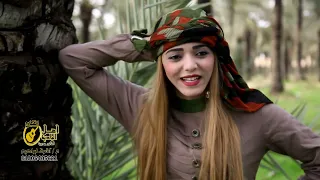 شتاوات علمنا بالفرح الفنانة اميرة خالد 2023 