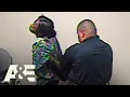 The First 48 Victim Lured by Mystery Girl A E
