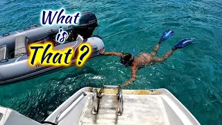 SDA163 What is That?