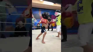 طفل الكيك بوكسنج Kickboxing Boy محمد بلبول 