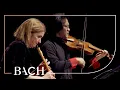Download Lagu Bach - Concert voor Hobo en Viool in c klein BWV 1060R - Black en Sato | Nederlandse Bachvereniging