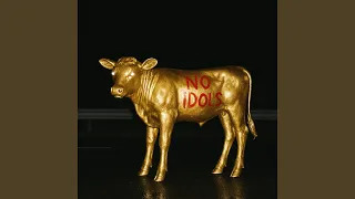 NO IDOLS 