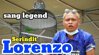 srindit gacor syarat juara pakangacorchannel7574