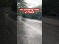 Kawasaki Ninja ZX4RR Flyby screaming sound