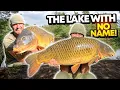 48-Hour Summer Carp Fishing Session 2022 Menards Carp Fishery Vlog