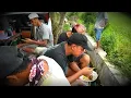 Download Lagu Story' wa || Desa || Makan di sawah ||