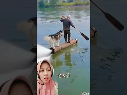 doggy ikut kakek nyebrang sungai !!! #danbyappliances #funny #kindnessiscool