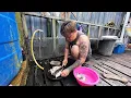 Download Lagu SIANG IKAN KECIL MASAK PANSUH CAMPUR KATAK // SELERA BERTAMBAH DENGAN LAUK STYLE DAYAK IBAN // 