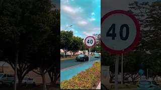 عذاراء لو يشوفونك شيلات السعودية الكويت الامارات قطر عمان البحرين 