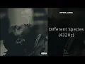 Offset, Gunna - Different Species (432Hz)