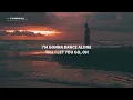 Steve Aoki, Sam Feldt, XANDRA with Nile Rodgers & Zak Abel - I’m Going Out (Lyrics)