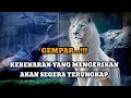 Download Lagu JIWA TERPILIH _ KEBENARAN YANG MENGERIKAN AKAN SEGERA TERUNGKAP 