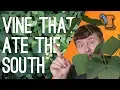 Download Lagu Kudzu History: The Vine That Ate The South