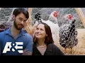 Download Lagu The Chicken Coop Build That Needed a Serious Backup Plan | Duck Dynasty: The Revival | A\u0026E